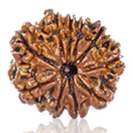 10 Mukhi
